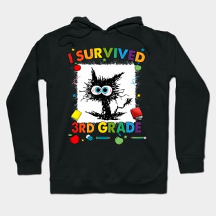 Last Day Of Third 3Rd Grade I Survived Third 3Rd Grade Hoodie